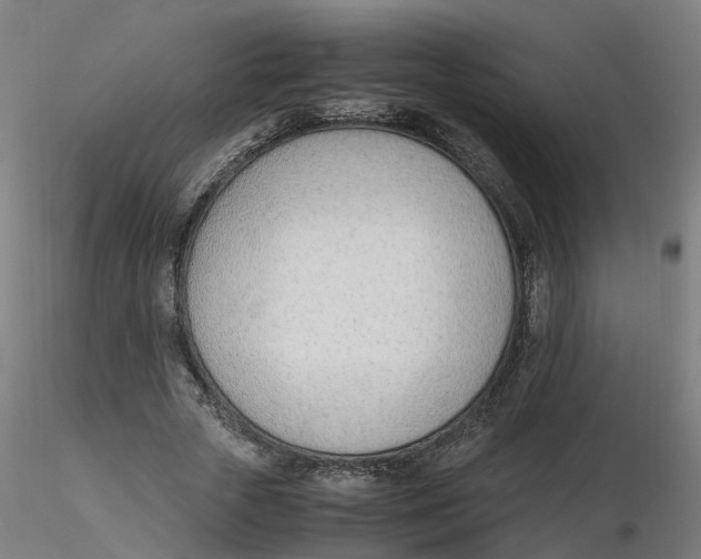 X0000116330729200912221419