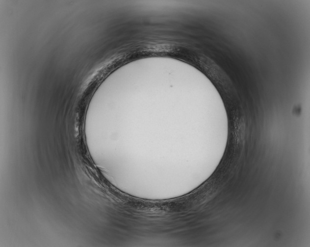 X0000116330731200912221419