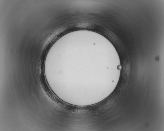 X0000116330734200912221419