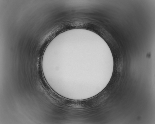 X0000116330735200912221419