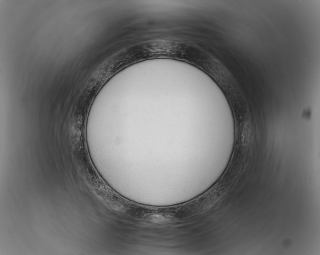 X0000116330737200912221419