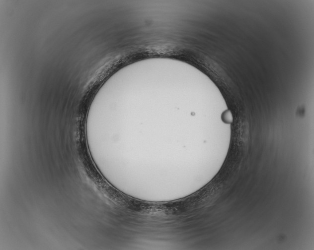 X0000116330738200912221419