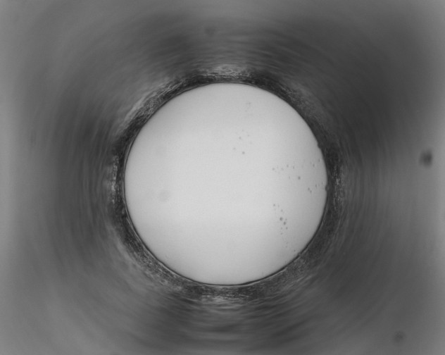 X0000116330739200912221419