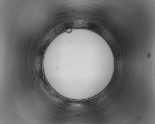 X0000116330741200912221419