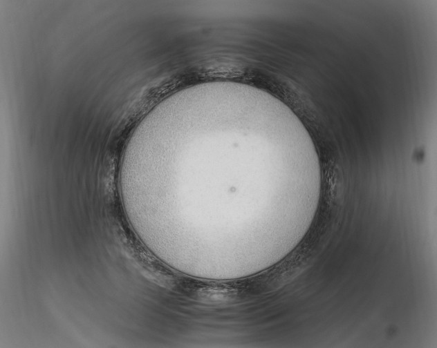 X0000116330745200912221419