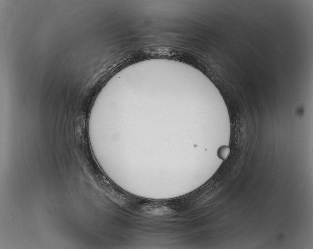 X0000116330747200912221419