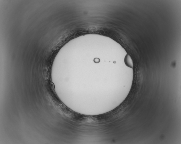 X0000116330750200912221419