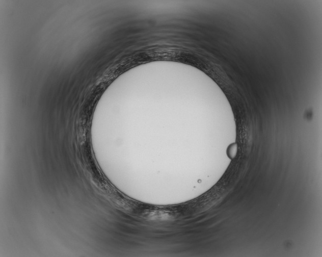 X0000116330751200912221419