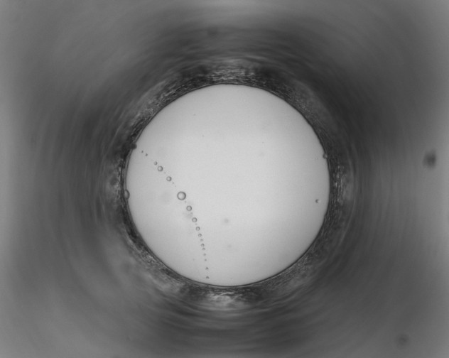 X0000116330753200912221419