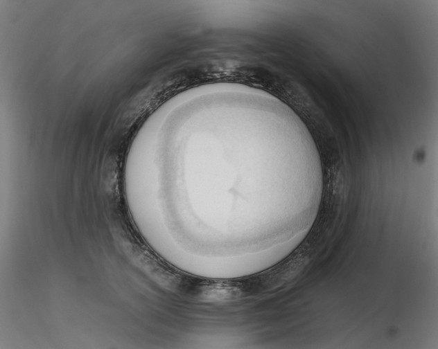 X0000116330754200912221420