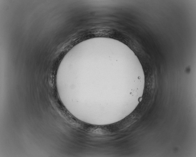 X0000116330755200912221420