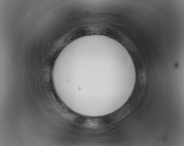 X0000116330757200912221420