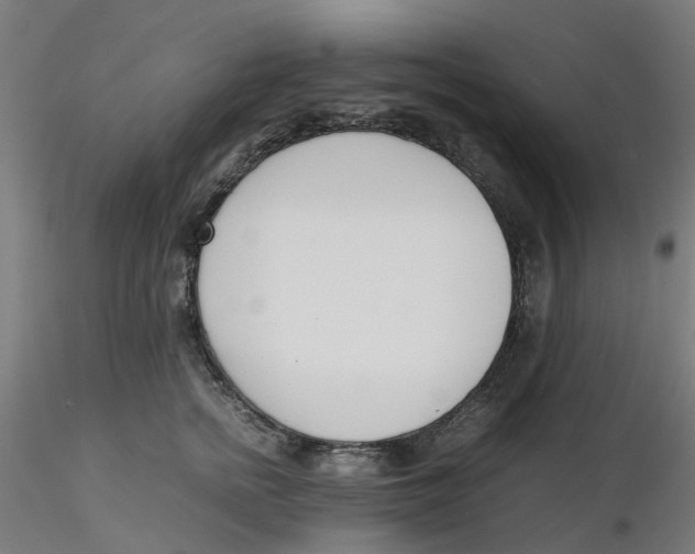 X0000116330758200912221420