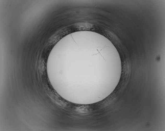 X0000116330761200912221420