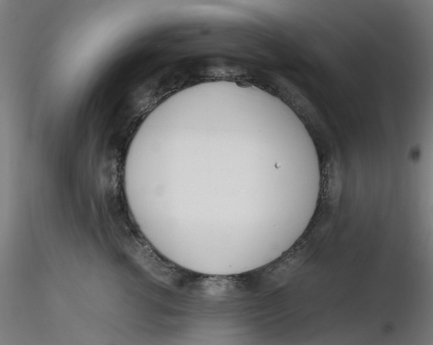 X0000116330762200912221420