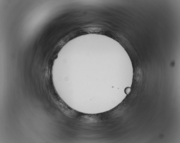 X0000116330763200912221420