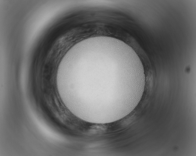 X0000116330765200912221420