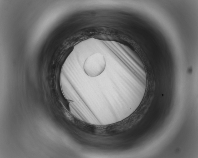 X0000116330766200912221420