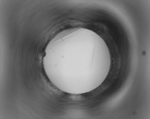 X0000116330767200912221420