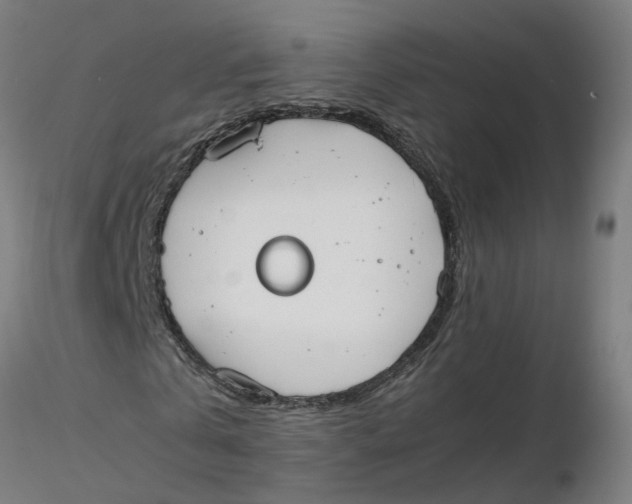 X0000116330769200912221419