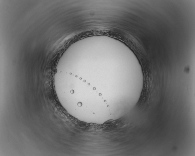 X0000116330773200912221419