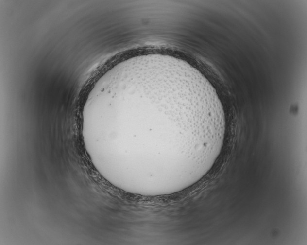 X0000116330776200912221419