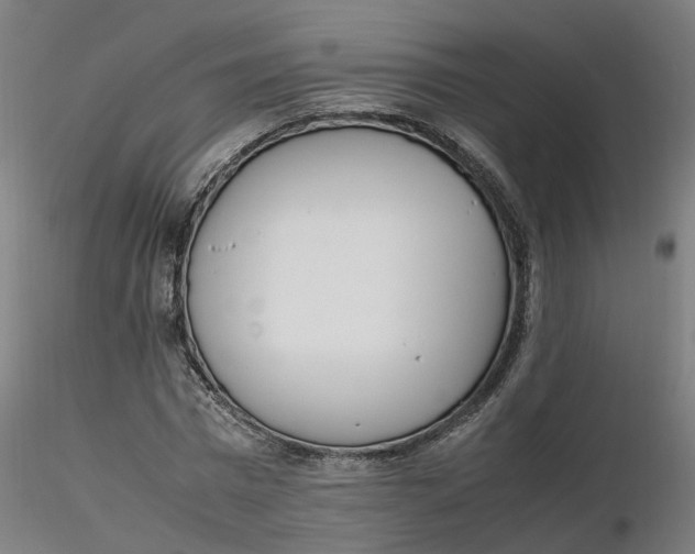 X0000116330777200912221419