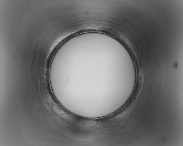 X0000116330779200912221419