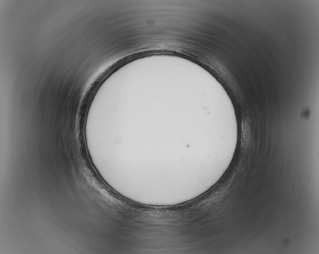 X0000116330780200912221419