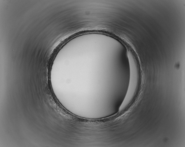 X0000116330781200912221419