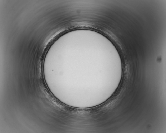 X0000116330782200912221419