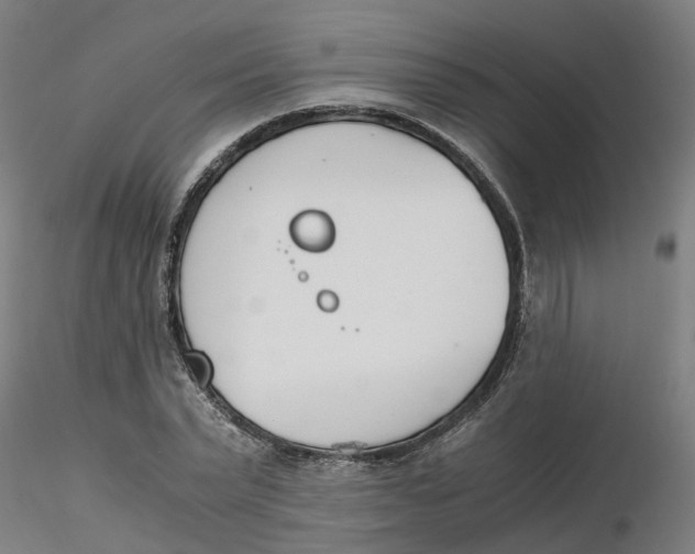 X0000116330783200912221419