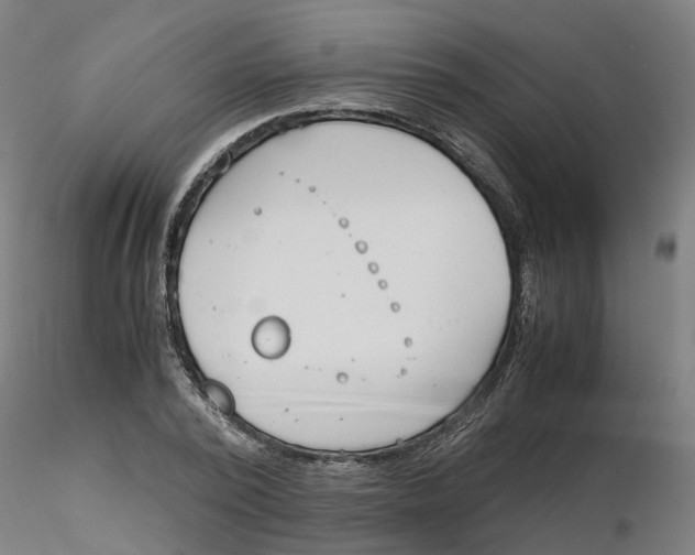 X0000116330784200912221419