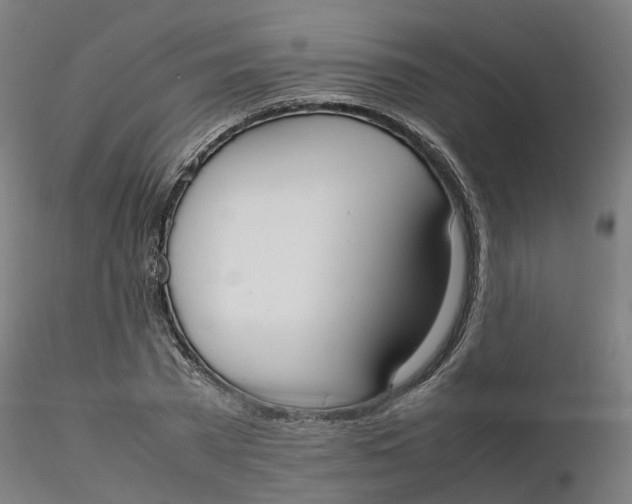 X0000116330785200912221419