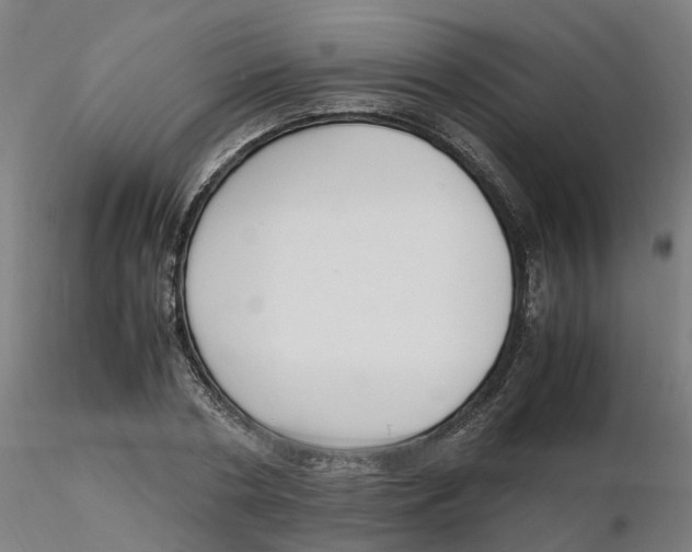 X0000116330786200912221419