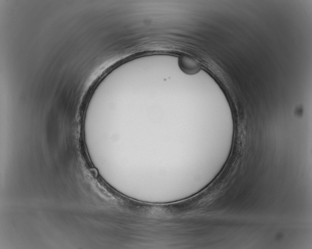 X0000116330787200912221419