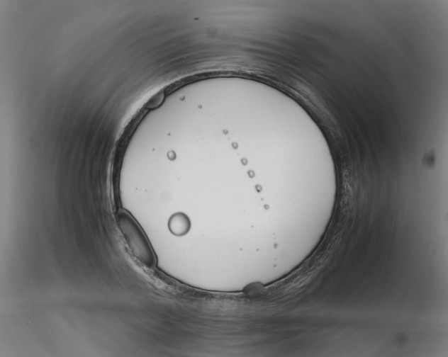 X0000116330788200912221419