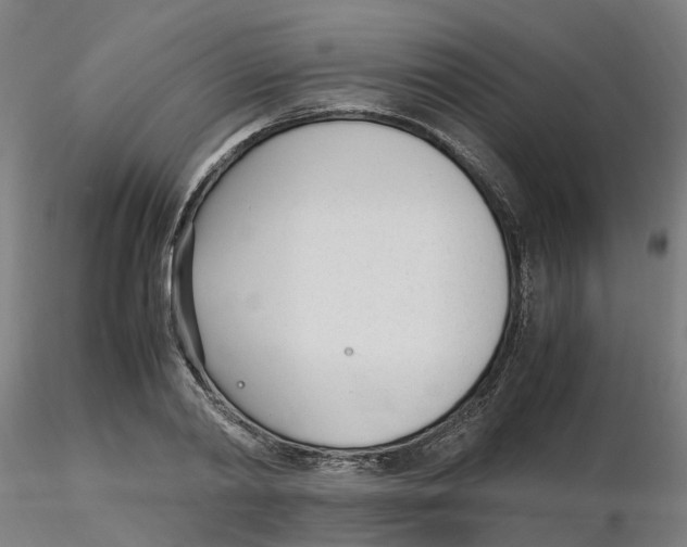 X0000116330790200912221419