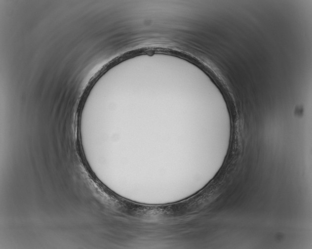 X0000116330791200912221419