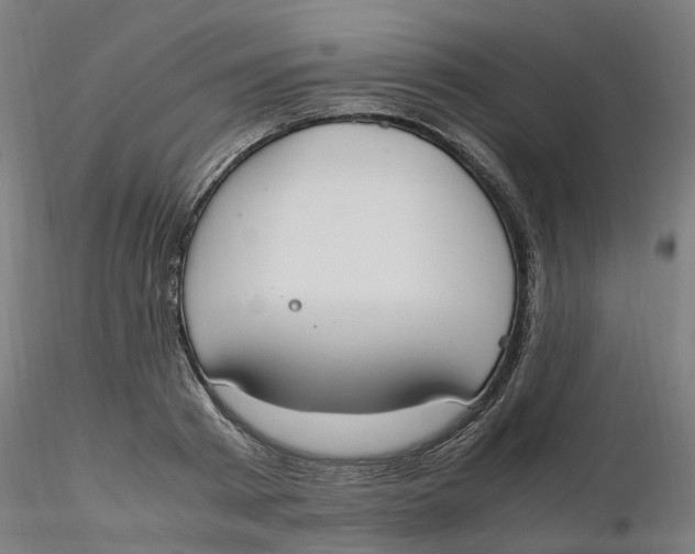 X0000116330793200912221419