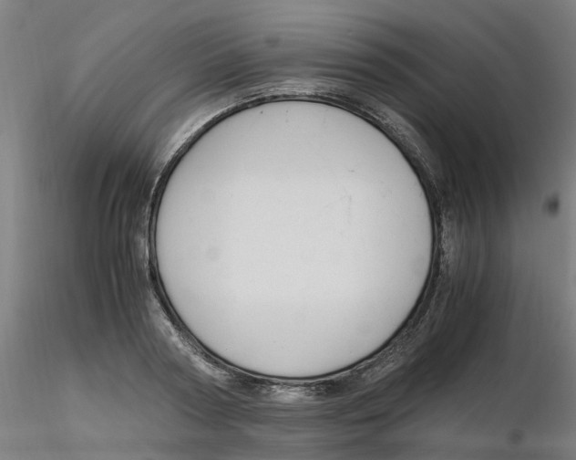 X0000116330794200912221419