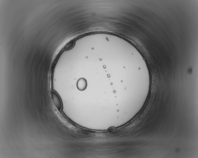 X0000116330796200912221419