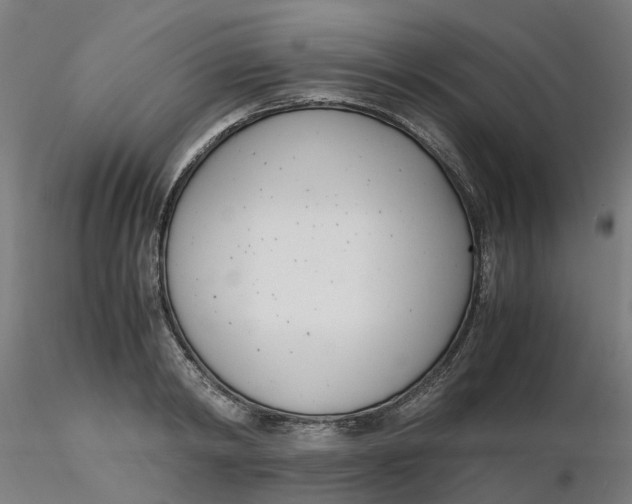 X0000116330798200912221419