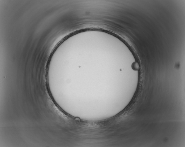 X0000116330799200912221419