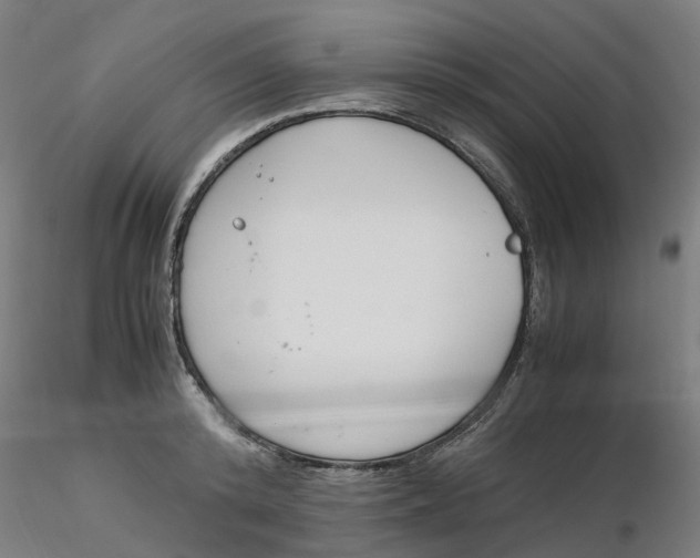 X0000116330800200912221419