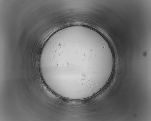 X0000116330801200912221419