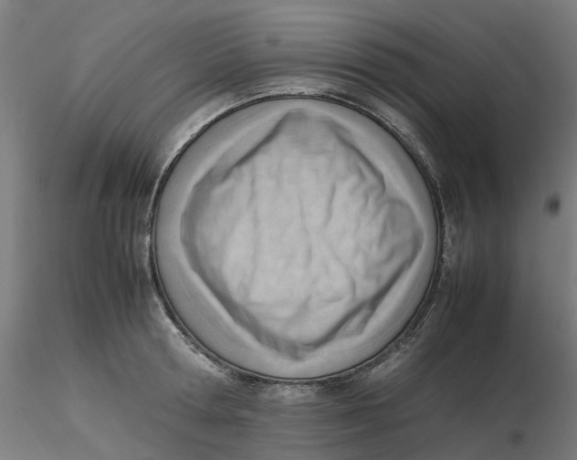 X0000116330802200912221419