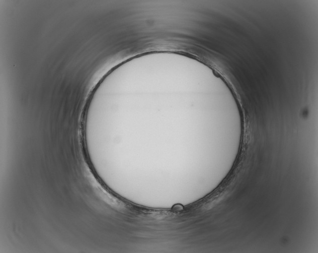 X0000116330803200912221419