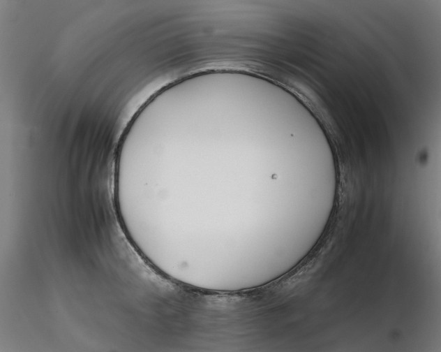 X0000116330804200912221419