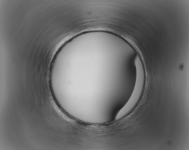 X0000116330805200912221419